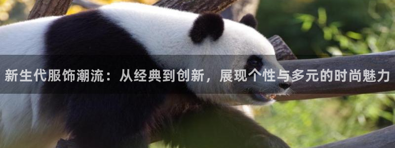 欧豪娱乐星天地采访