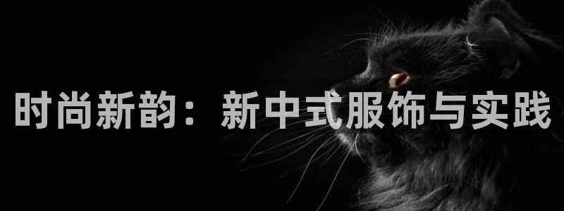 星欧娱乐代理