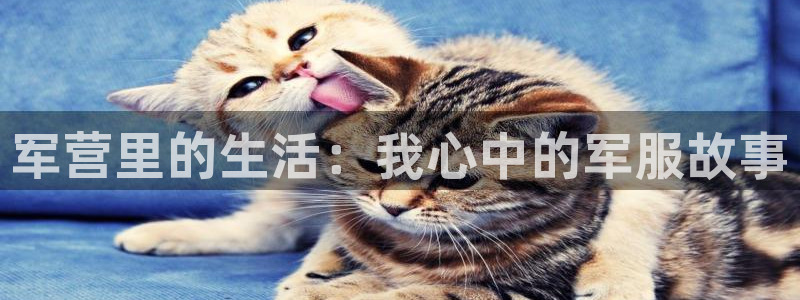 星欧娱乐606251