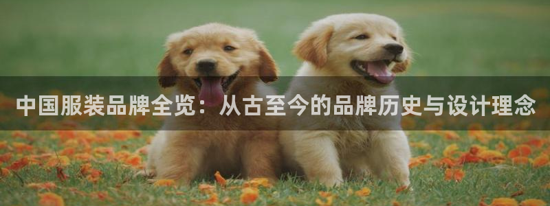 欧星娱乐 拉勾