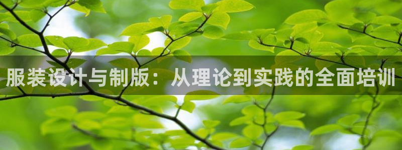 星欧娱乐平台官网入口