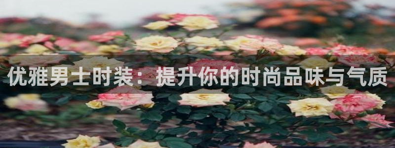 娱乐星扒客欧豪