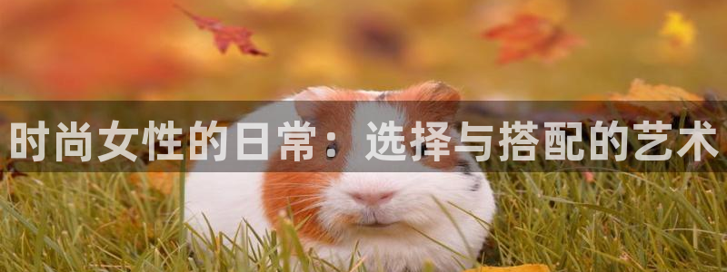 欧乐星城有没有娱乐设施
