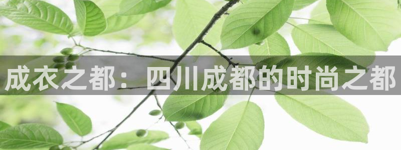 星欧娱乐平台注册入口
