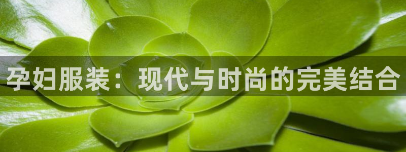 欧米星创文化娱乐