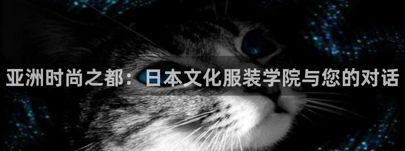 世欧星途娱乐
