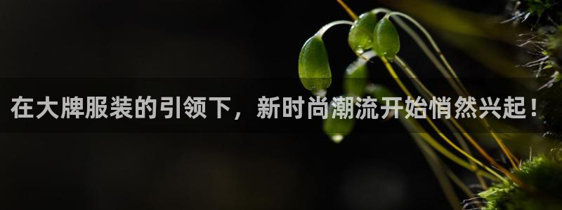 武汉欧汇星娱乐有限公司