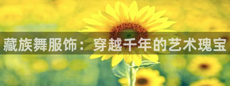 星欧娱乐法最新进展