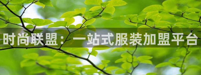金欧岗星熠娱乐