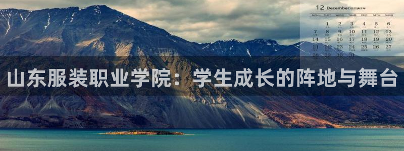 星欧娱乐扣费处理方法