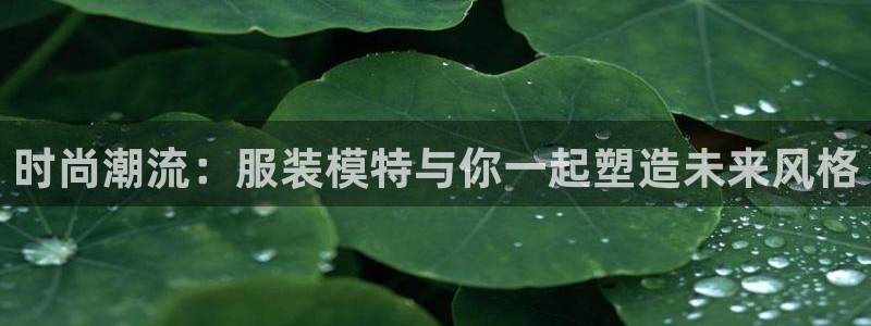 星欧娱乐最新版下载链接