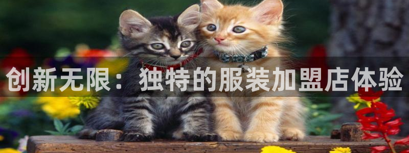 星欧娱乐银行卡怎么登录