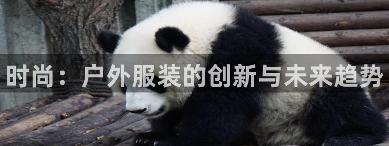 欧星娱乐棋牌怎么样