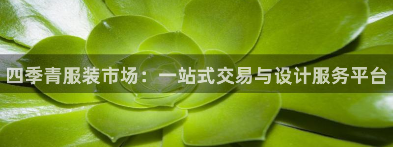 星欧娱乐最新版下载链接