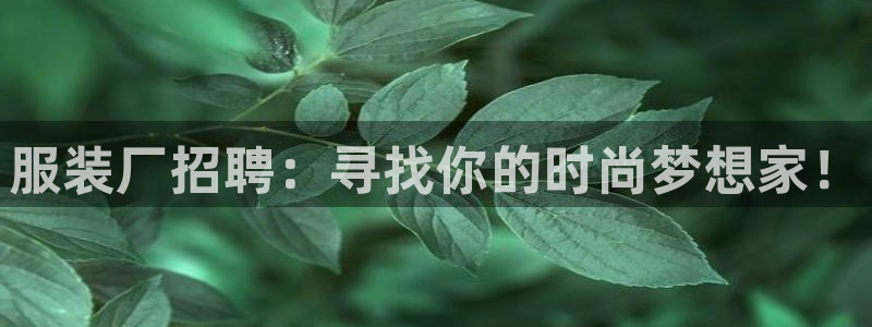 欧米星创文化娱乐