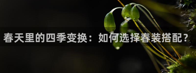 星欧娱乐伐官网注册