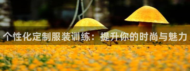 星欧娱乐官方网站