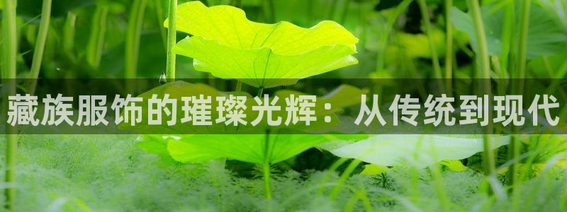 星欧娱乐平台app下载