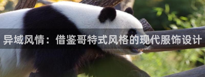 星饭娱乐欧豪是谁