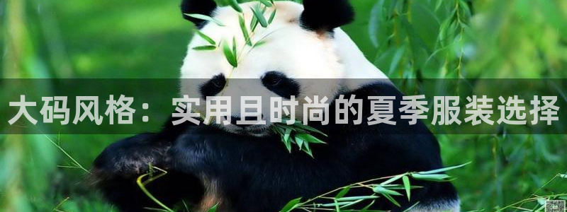 星饭娱乐欧豪是谁