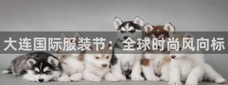 星欧娱乐注册客服电话