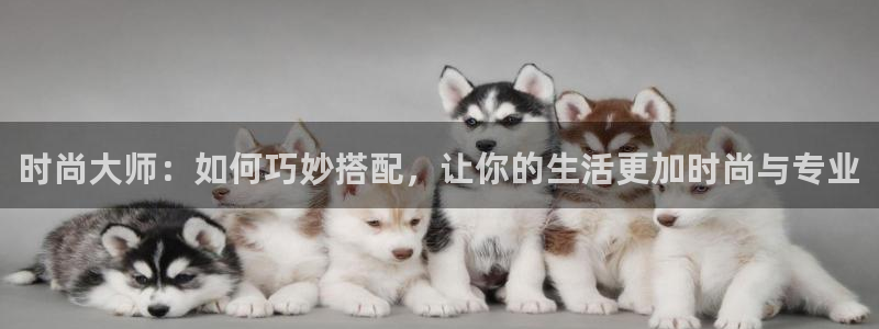 星欧娱乐官方网站