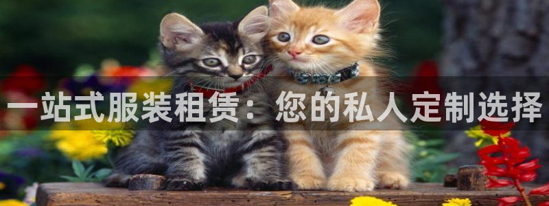 星欧娱乐平台测速线路