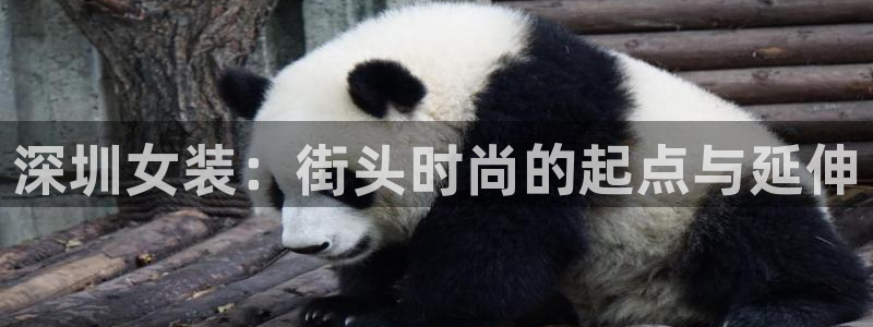 常州欧尚超市五星店娱乐