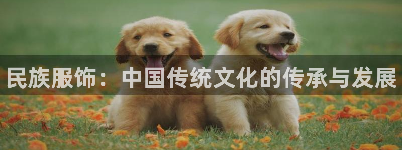 星欧娱乐最建议买吗：民族服饰：中国传统文