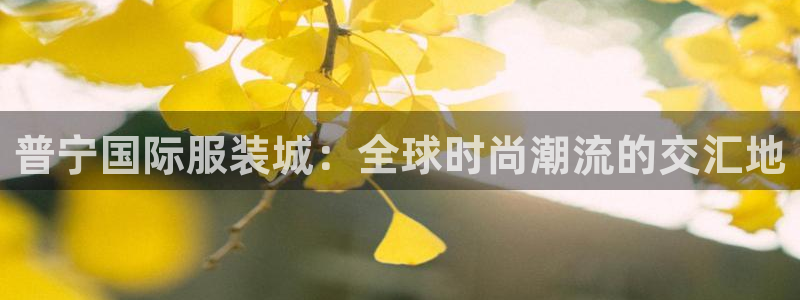 欧星娱乐游戏：普宁国际服装城：全球时尚潮