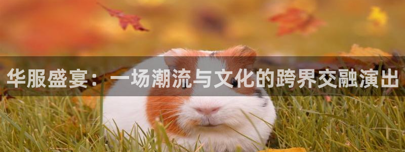 星欧娱乐注册开户：华服盛宴：一场潮流与文