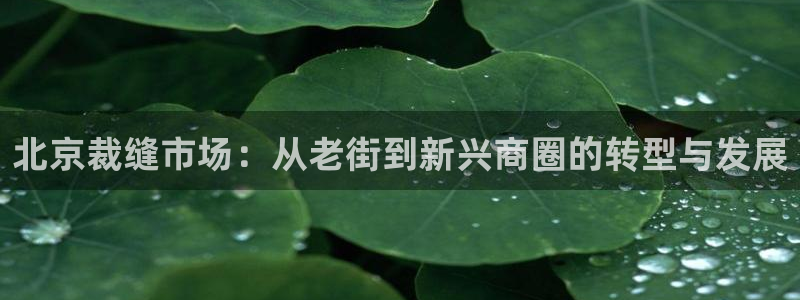 星欧娱乐黑科技是正规的吗：北京裁缝市场：