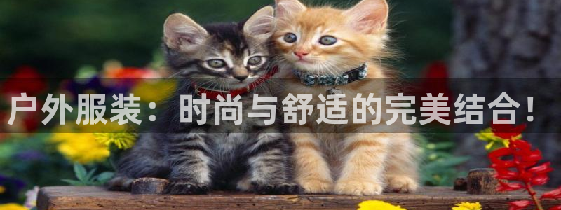 星欧娱乐招商81338：户外服装：时尚与