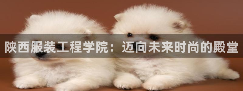星欧娱乐招商81338