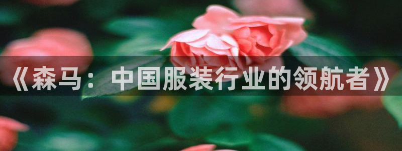 星欧娱乐登录入口