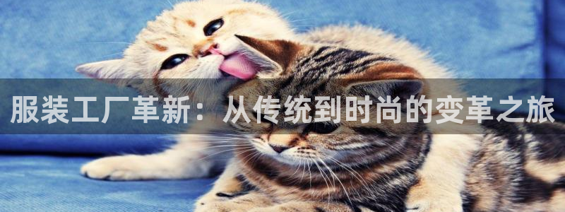 星欧娱乐官方微博：服装工厂革新：从传统到