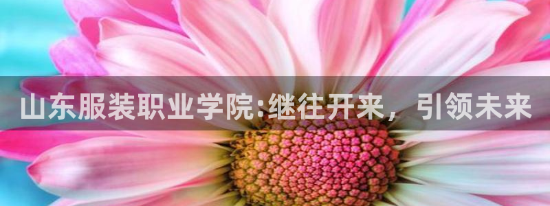 星欧娱乐围7O777：山东服装职业学院: