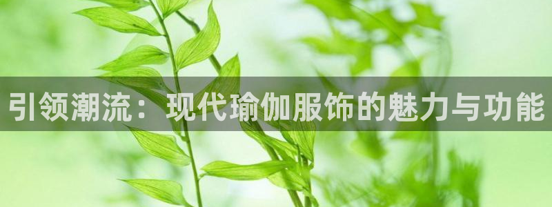 世欧星途娱乐：引领潮流：现代瑜伽服饰的魅
