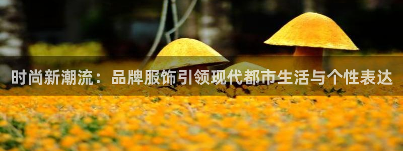 星欧娱乐黑科技是正规的吗